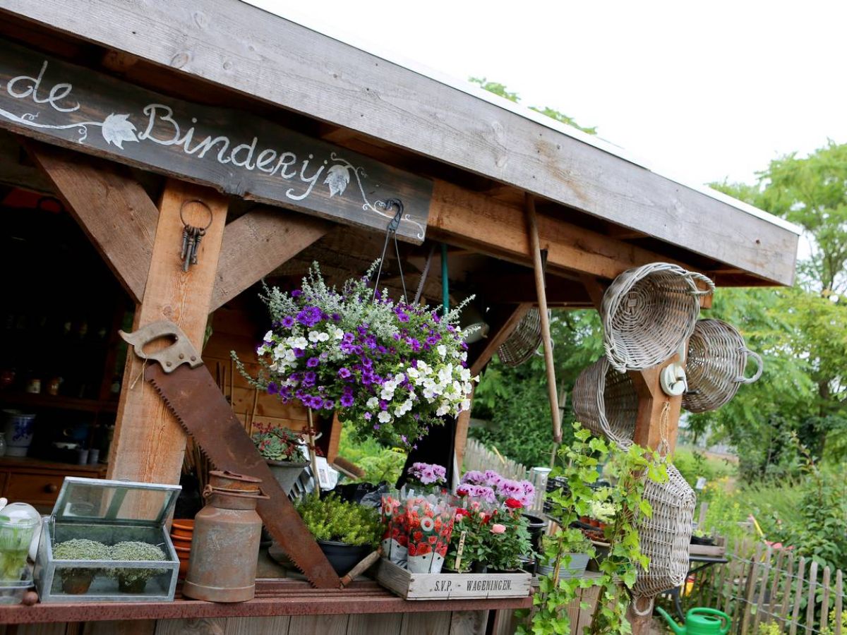 Workshops - Pluktuin